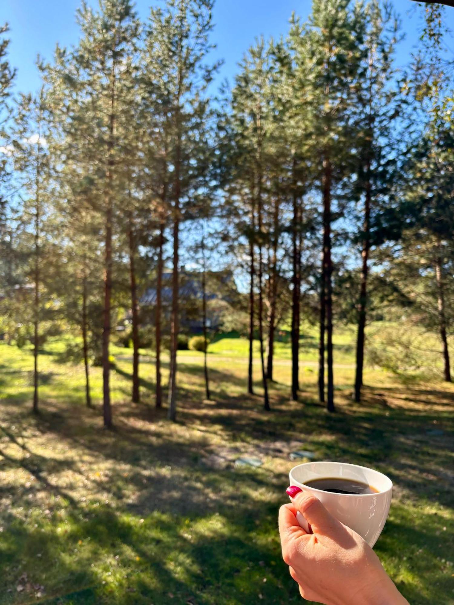 Brivdienu Maja Jaunzvinas Holiday home *