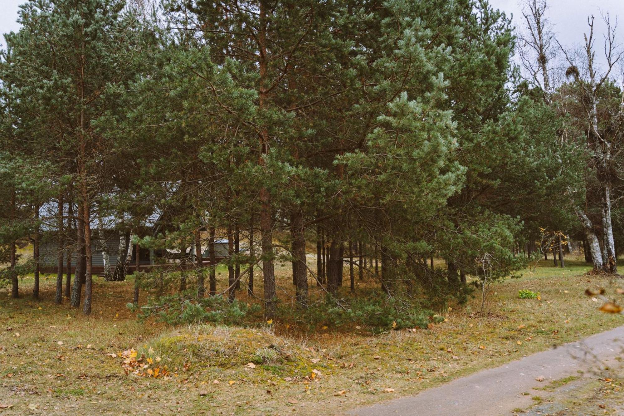 Brivdienu Maja Jaunzvinas Holiday home